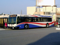 1696514033_Newsamtransbus.jpg